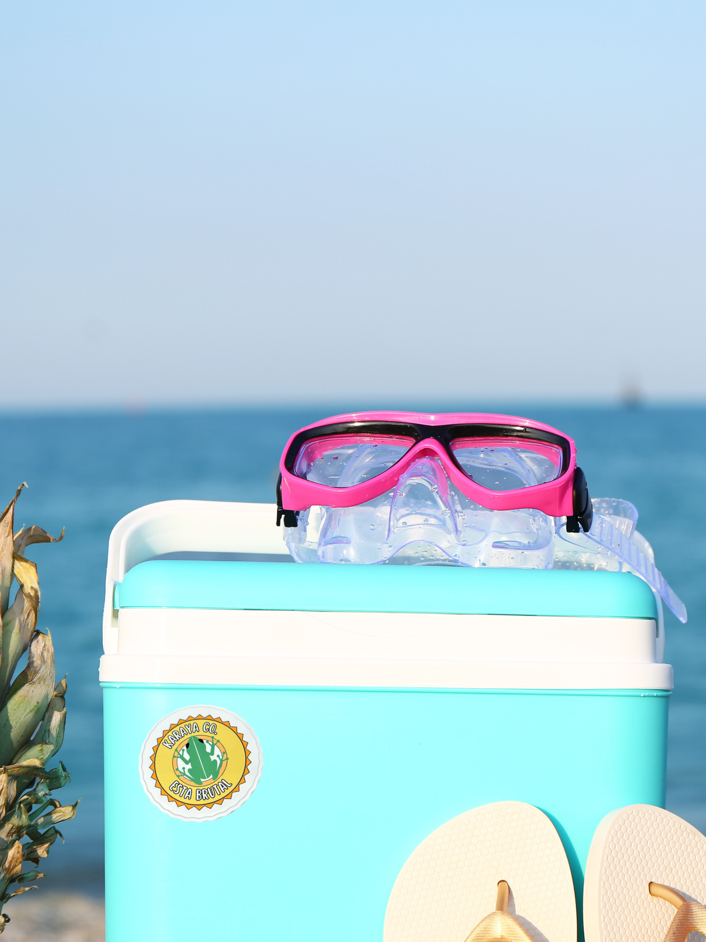 Karaya Coquí Sticker